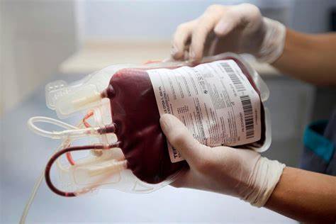 Gestión de Calidad en los servicios de banco de sangre y medicina transfusional