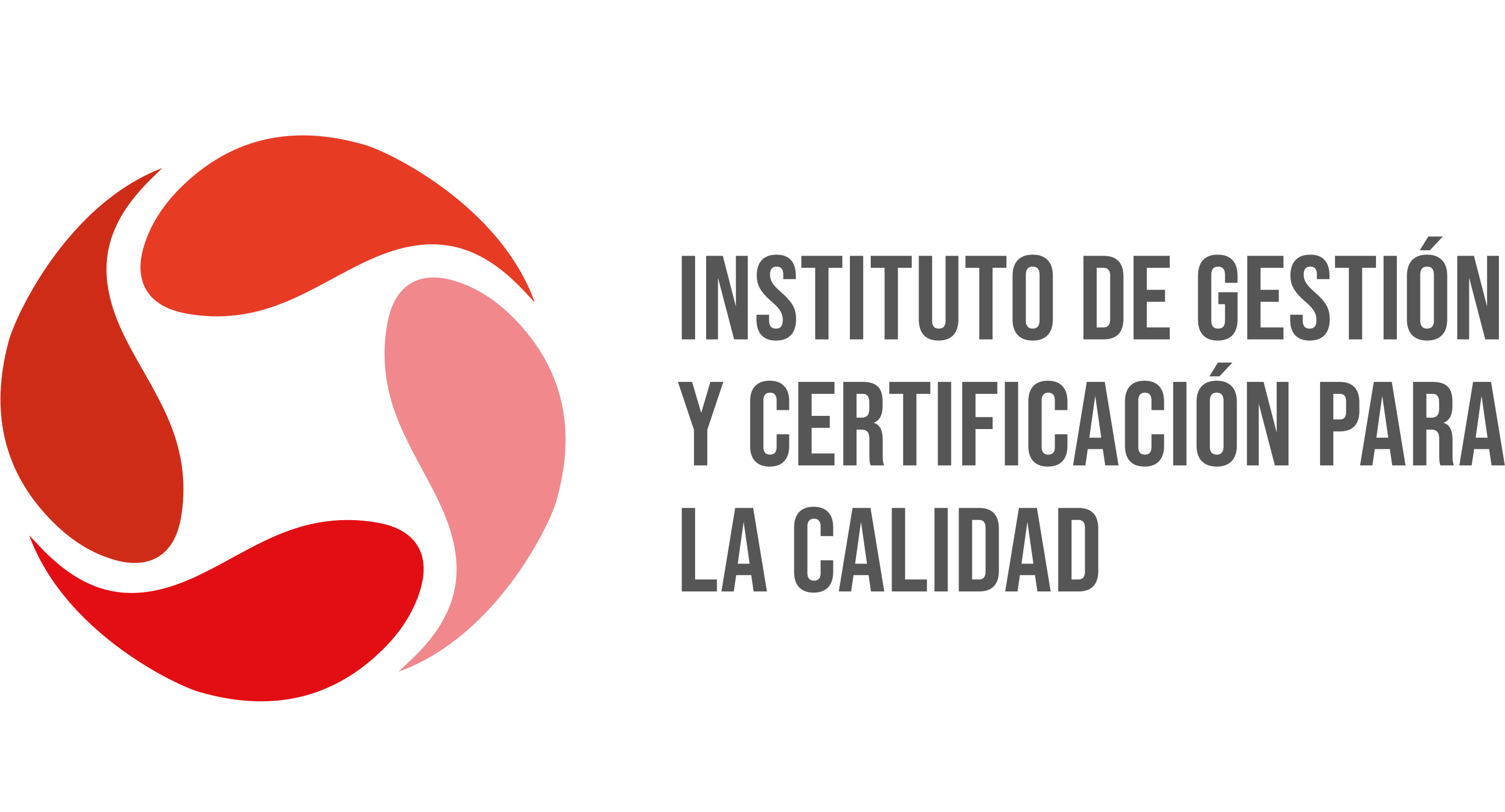 Instituto de gestión de calidad